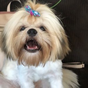 Meet your Posher, Michelle